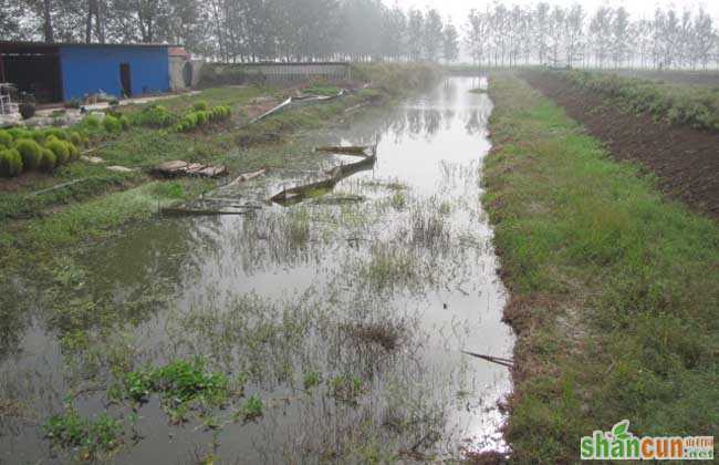 龙虾养殖场地建设