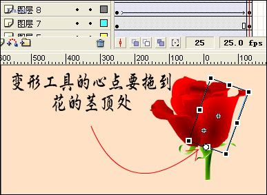 FlashMX实例制作骄艳的鲜花情人贺卡 