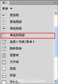 Dreamweaver插入单选按钮和单选按钮组