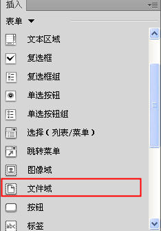 Dreamweaver插入文件域  山村
