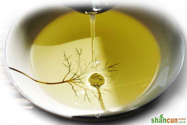 茶油多少钱一斤