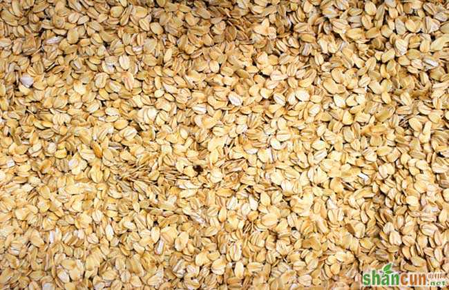 燕麦减肥法一周14斤