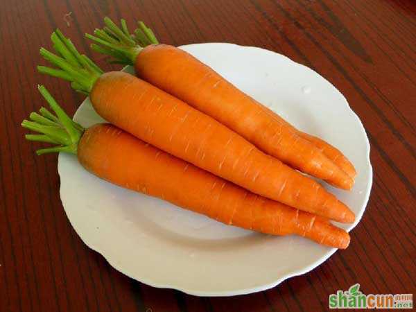 胡萝卜的营养价值
