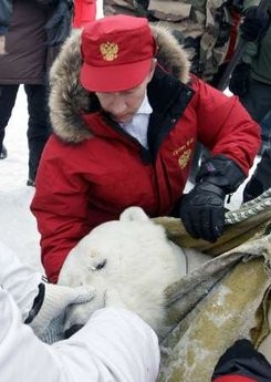 　　俄众多明星呼吁保护北极熊