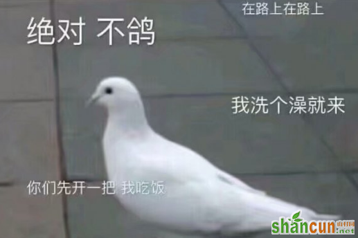 鸽子的反义词是知更鸟是什么梗和意思 为何说是知更鸟原因