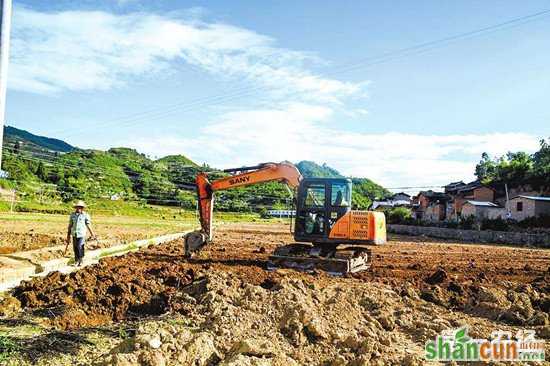 全国土地流转趋势向好 但需警惕流转土地的“非粮化”