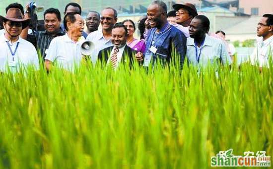 国际水稻论坛在三亚市举办 18国专家共享水稻发展成果