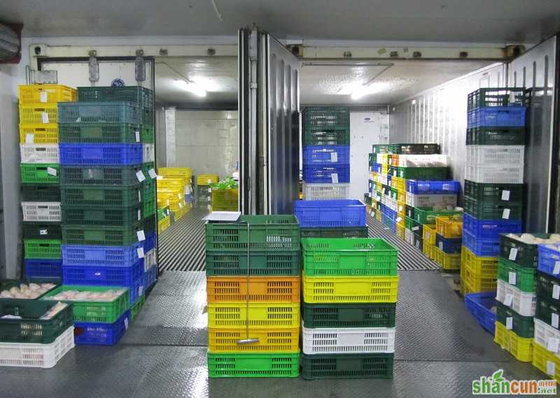 FEHD_raids_unlicensed_cold_store_in_Fanling