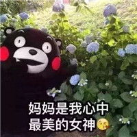 母亲节送什么花好最适合 母亲节买给妈妈实用又实在礼物推荐