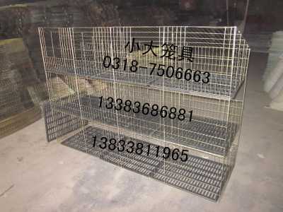 蛋鸡笼蛋鸡笼鹌鹑笼狐狸笼鸽子笼兔子笼宠物笼运输笼鸽笼兔笼狗笼