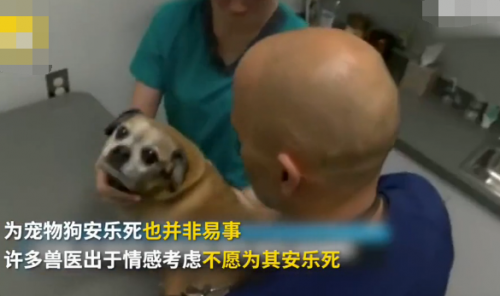 立遗嘱要爱犬陪葬