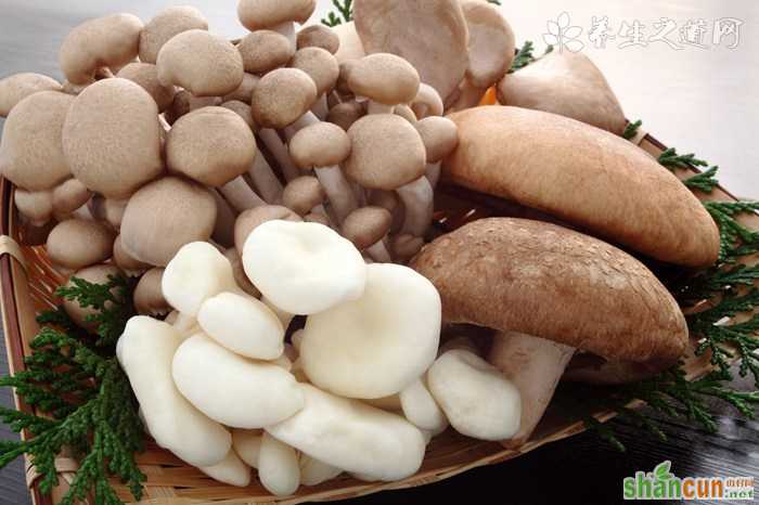 能预防禽流感的养生食物 能预防禽流感的养生食物
