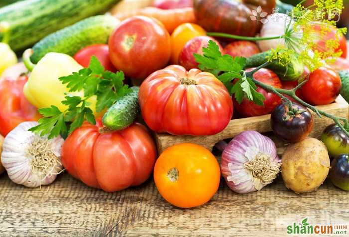 番茄搭配什么吃最营养？九种搭配营养翻倍