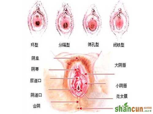 探索女人私处的那一片“黑森林”