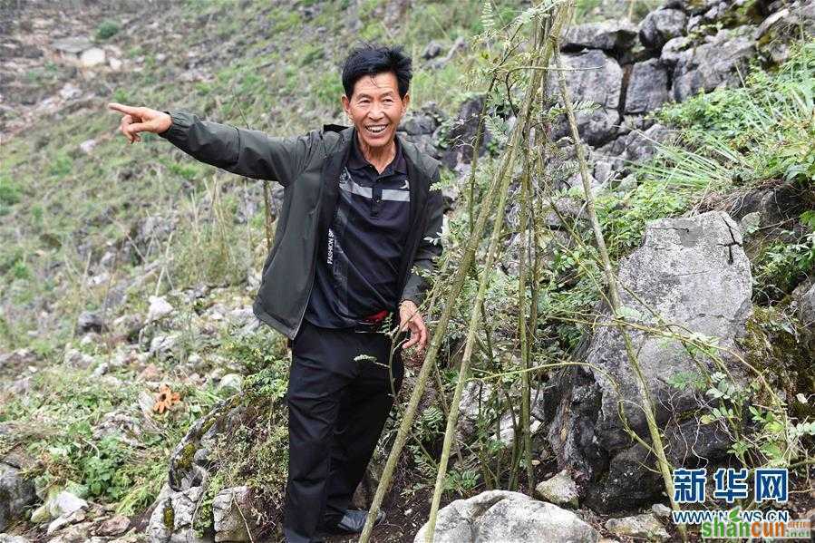 （壮丽70年·奋斗新时代·图文互动）（5）“石头地”里种出新希望——云南西畴县脱贫记