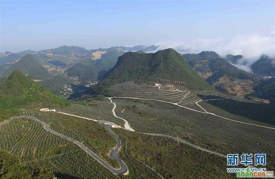 （壮丽70年·奋斗新时代·图文互动）（4）“石头地”里种出新希望——云南西畴县脱贫记