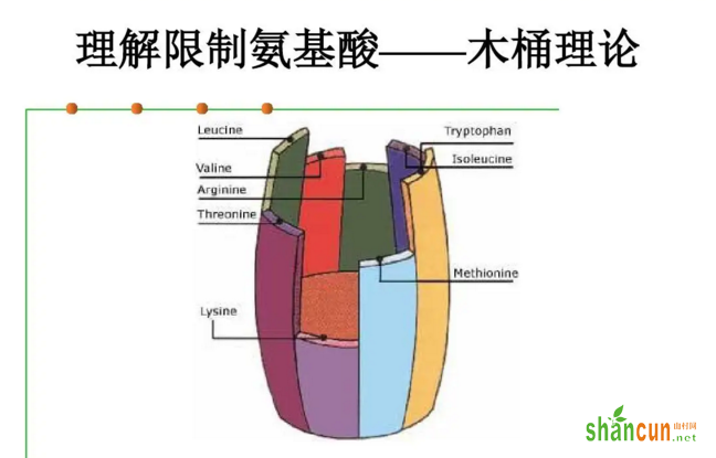 什么是限制氨基酸.png